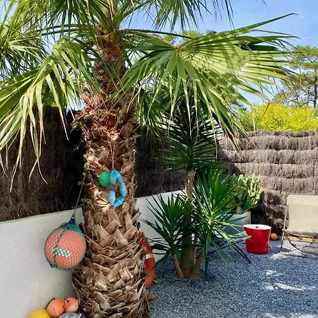 Chic A Chiberta - Golf, Plage, Clim & Pinede شقة أنغليه