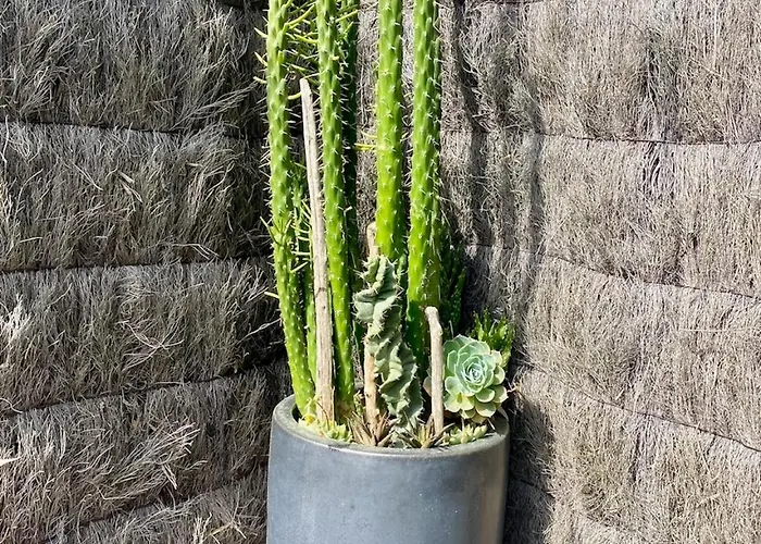 Apartment Chic A Chiberta - Golf, Plage, Clim & Pinede